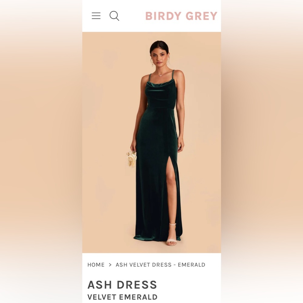Birdy Grey Ash Velvet Dress in Emerald size S